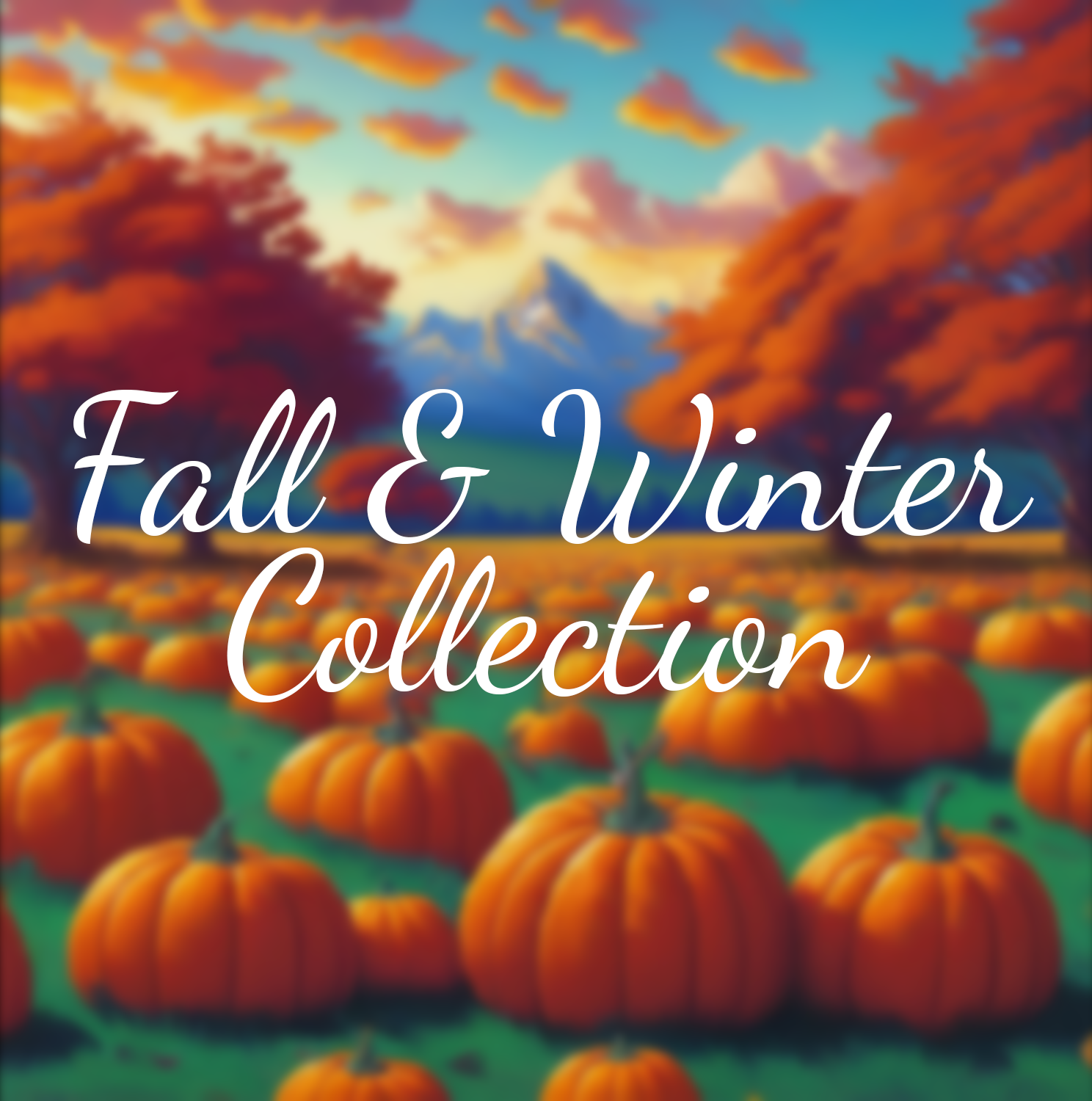 Fall & Winter Collection